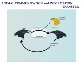 ANIMAL COMMUNICATION and INFORMATION