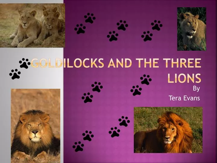 goldilocks and the three lions