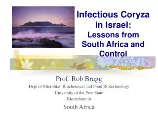 Infectious Coryza in Israel: Lessons from South Africa and Control