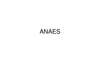 anaes
