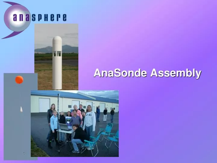 anasonde assembly
