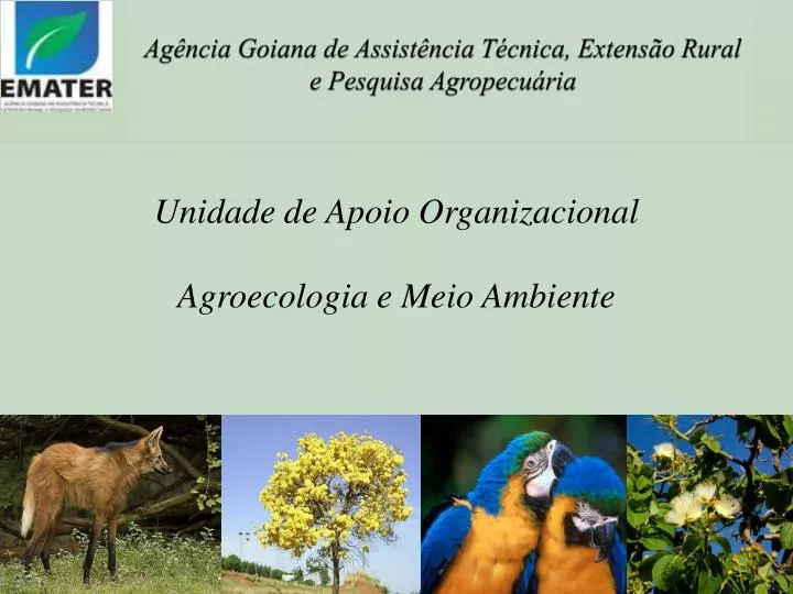 ag ncia goiana de assist ncia t cnica extens o rural e pesquisa agropecu ria