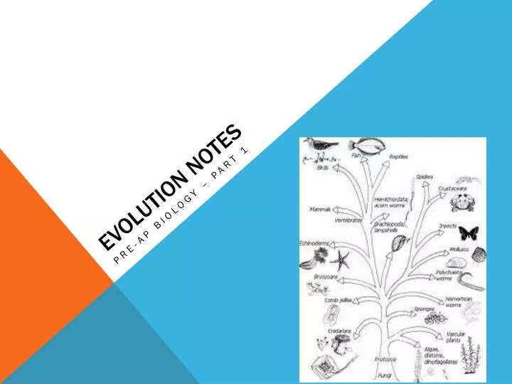 evolution notes