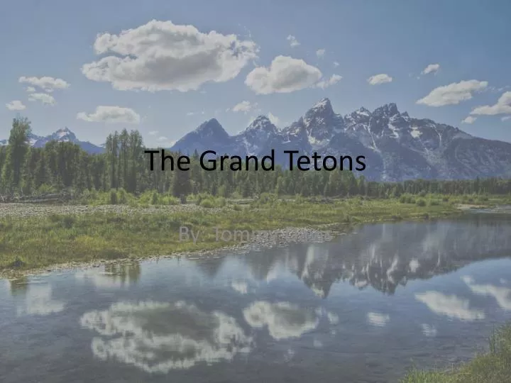 the grand tetons