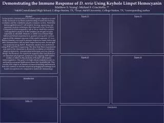 Demonstrating the Immune Response of D. rerio Using Keyhole Limpet Hemocyanin
