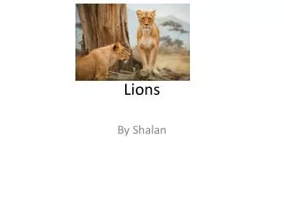 Lions