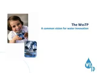 The WssTP A common vision for water innovation