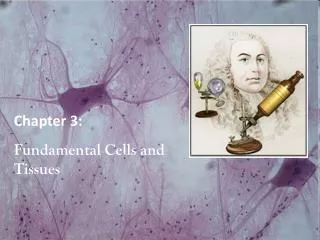 Chapter 3: Fundamental Cells and Tissues