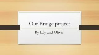 Our Bridge project