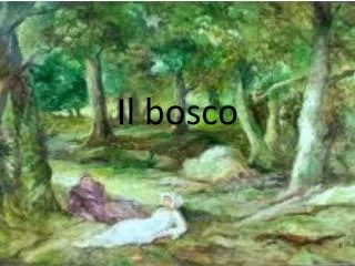 il bosco
