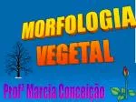 MORFOLOGIA VEGETAL - slide 1