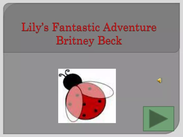 lily s fantastic adventure britney beck