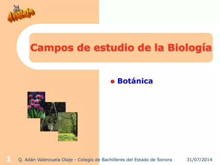 campos de estudio de la biolog a