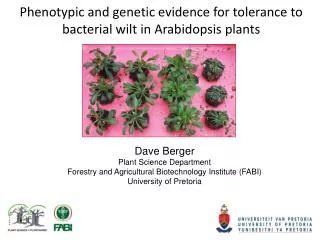Phenotypic and genetic evidence for tolerance to bacterial wilt in Arabidopsis plants