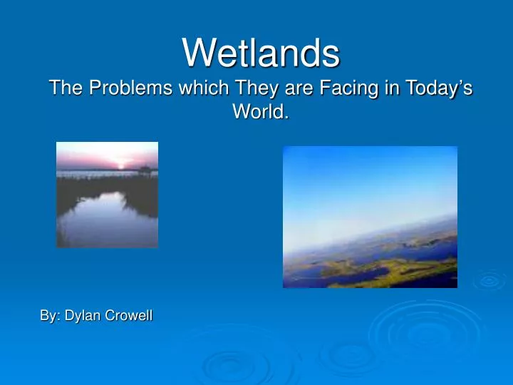 wetlands the problems which they are facing in today s world