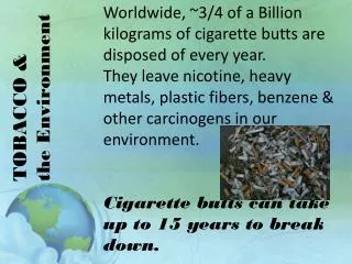 TOBACCO &amp; the Environment