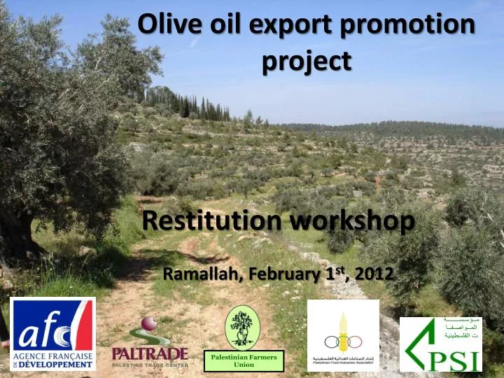 olive oil export promotion project