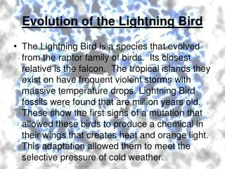 Evolution of the Lightning Bird