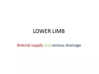 LOWER LIMB