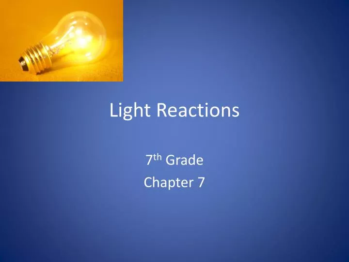 light reactions