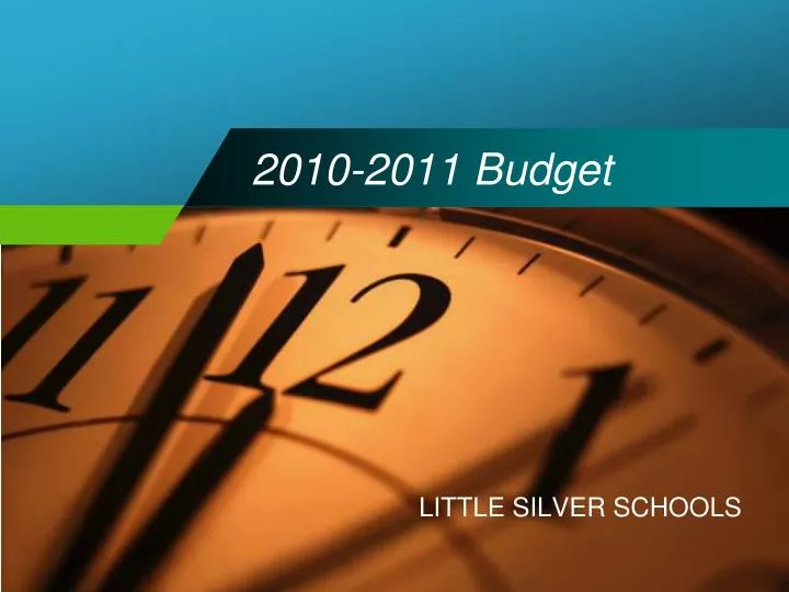 2010 2011 budget