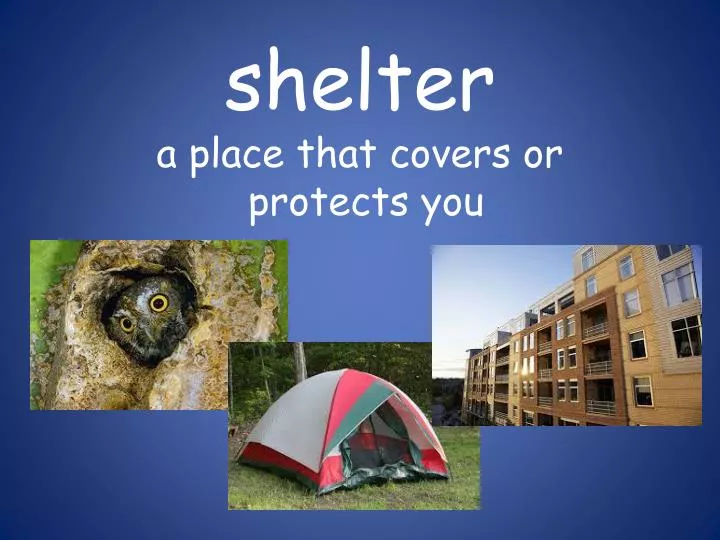 shelter a place that covers or protects you