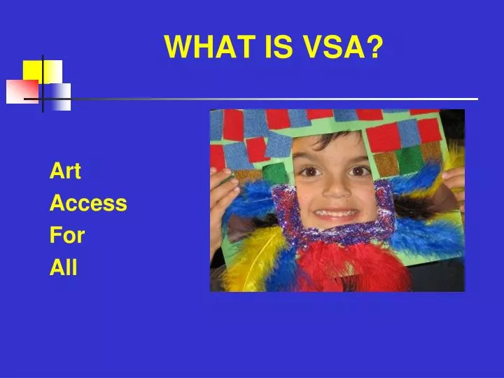 what is vsa