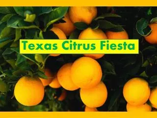 Texas Citrus Fiesta