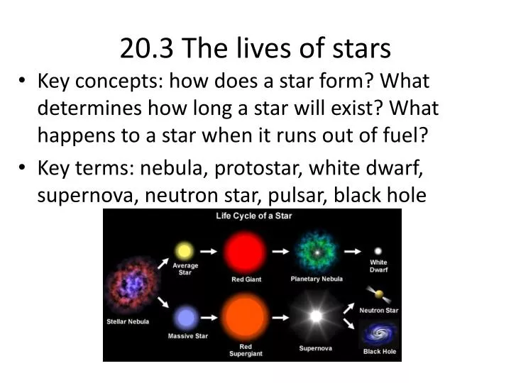 20 3 the lives of stars