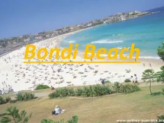 Bondi Beach