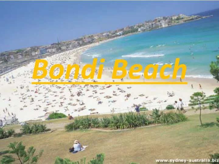 bondi beach