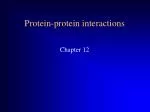 Protein-protein interactions - slide 1