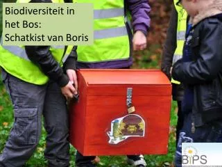 Biodiversiteit in het Bos: Schatkist van Boris