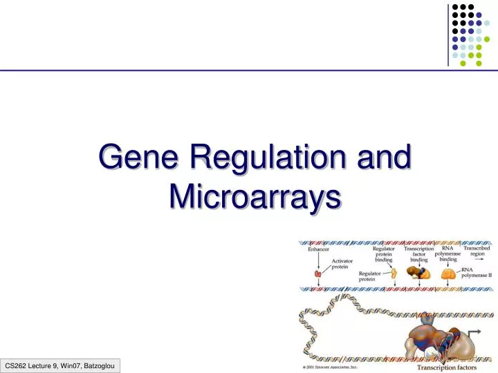 gene regulation and microarrays