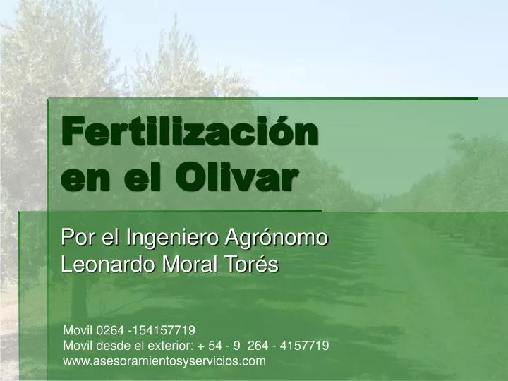 fertilizaci n en el olivar