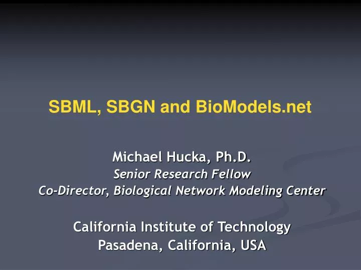 sbml sbgn and biomodels net