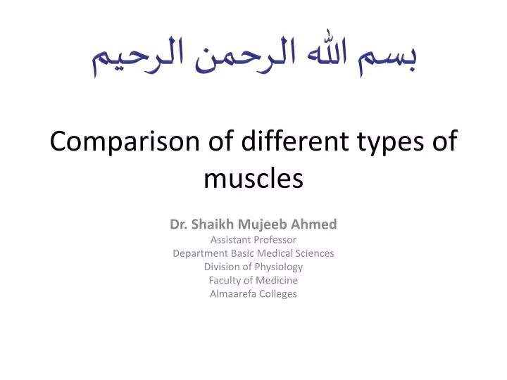 comparison of different types of muscles