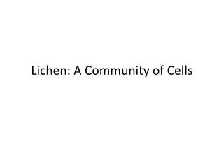 Lichen: A Community of Cells