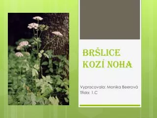 br lice koz noha