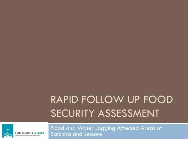 rapid follow up food security assessment
