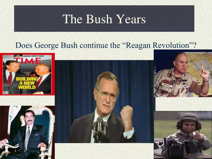 the bush years