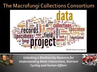 The Macrofungi Collections Consortium