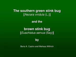 The southern green stink bug [ Nezara viridula (L.) ] and the brown stink bug