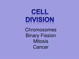 Chromosomes Binary Fission Mitosis Cancer