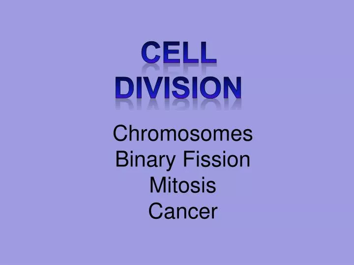 chromosomes binary fission mitosis cancer