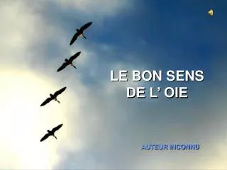 le bon sens de l oie