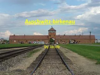 Auschwitz- birkenau