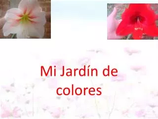mi jard n de colores