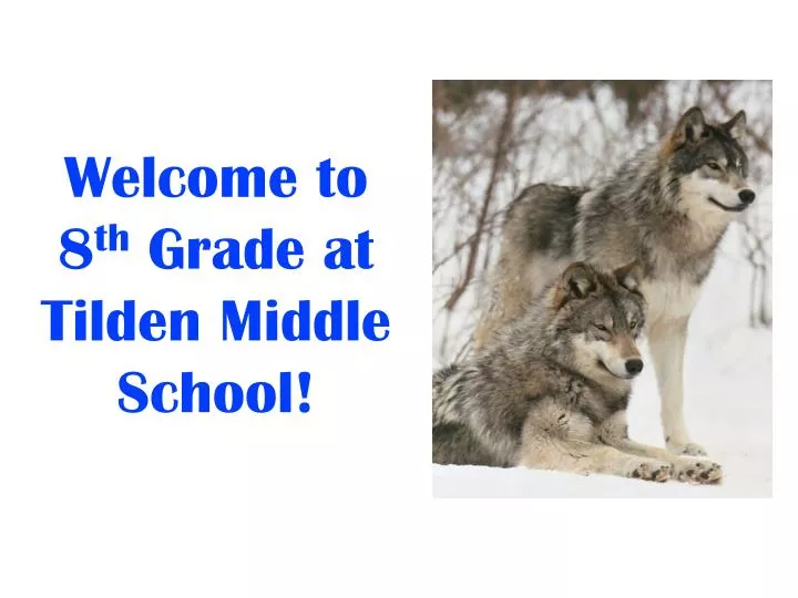 welcome to 8 th grade at tilden middle school