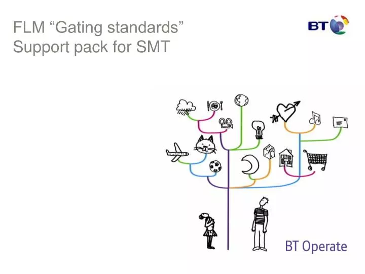 flm gating standards support pack for smt